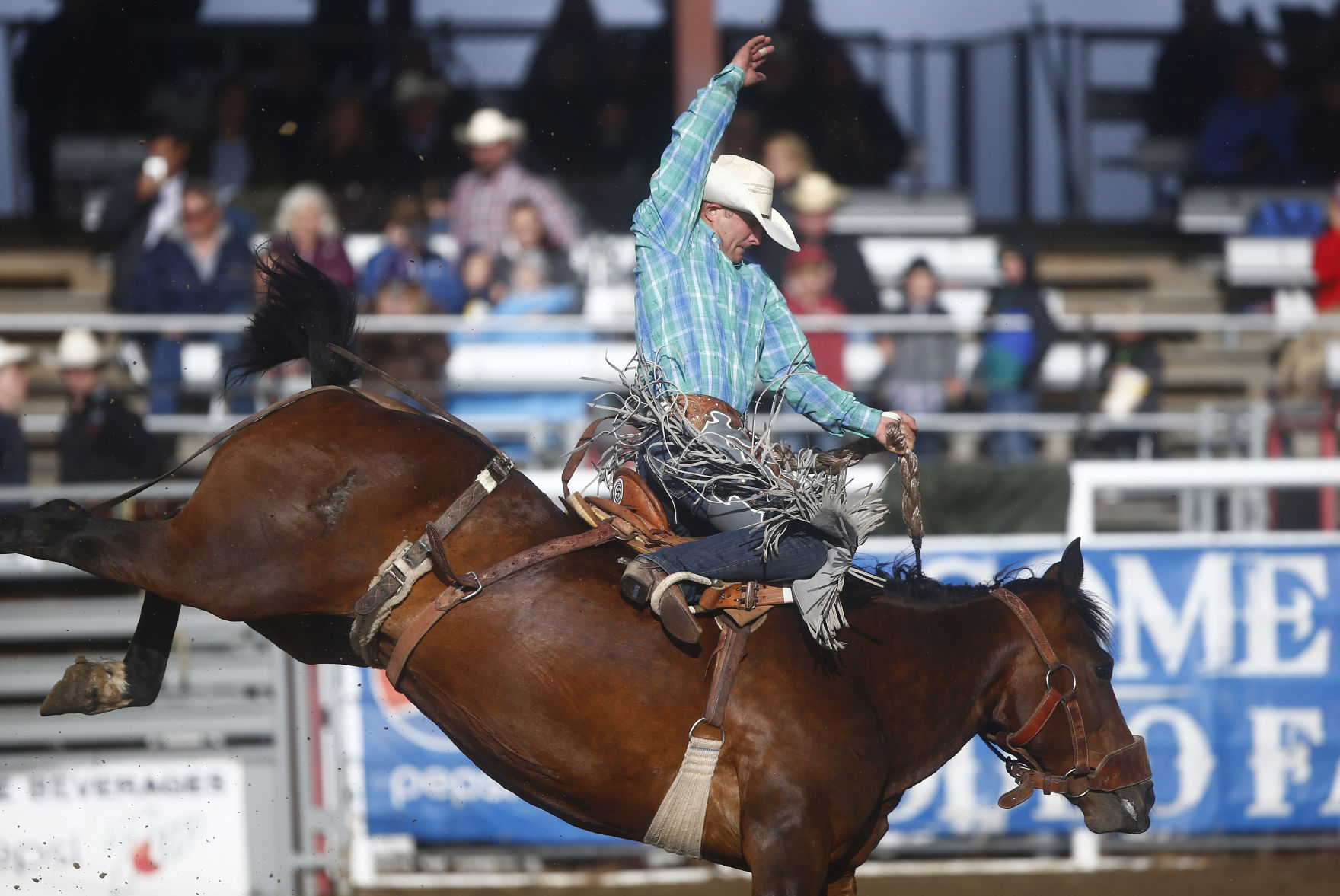 Home of Champions Rodeo